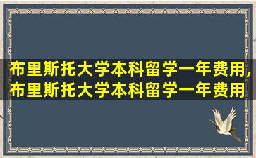 布里斯托大学本科留学一年费用,布里斯托大学本科留学一年费用 小红书